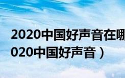 2020中国好声音在哪个app播放（怎么能看2020中国好声音）