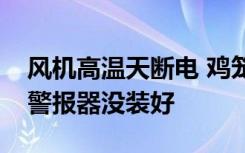 风机高温天断电 鸡笼成蒸笼热死4000只鸡：警报器没装好