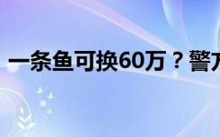 一条鱼可换60万？警方突袭钓场，86人被抓