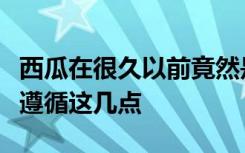 西瓜在很久以前竟然是苦的！如何挑选西瓜要遵循这几点