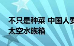 不只是种菜 中国人要上太空养鱼：网友期待太空水族箱