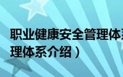 职业健康安全管理体系（关于职业健康安全管理体系介绍）