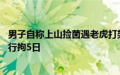 男子自称上山捡菌遇老虎打架，警方：4年前在动物园拍摄，行拘5日