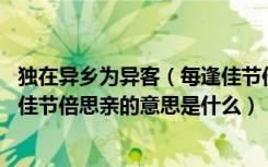 独在异乡为异客（每逢佳节倍思亲翻译 独在异乡为异客每逢佳节倍思亲的意思是什么）