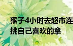 猴子4小时去超市连偷3次：环故四周确认，挑自己喜欢的拿