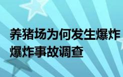 养猪场为何发生爆炸？湖南醴陵非法生产烟花爆炸事故调查