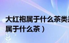 大红袍属于什么茶类是红茶还是绿茶（大红袍属于什么茶）