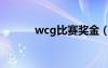 wcg比赛奖金（wcg奖金多少）