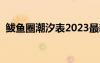 鲅鱼圈潮汐表2023最新表（鲅鱼圈潮汐表）