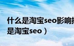 什么是淘宝seo影响排名的因素有哪些（什么是淘宝seo）