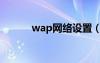 wap网络设置（wap上网设置）