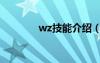 wz技能介绍（wz怎么加点）