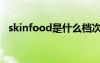 skinfood是什么档次（skinfood怎么样）