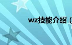 wz技能介绍（wz怎么加点）