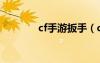 cf手游扳手（cf扳手多少钱）