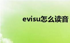 evisu怎么读音（evisu怎么读）