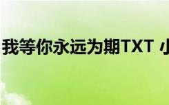 我等你永远为期TXT 小说（我等你永远为期）