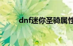 dnf迷你圣骑属性（dnf迷你圣骑）