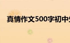 真情作文500字初中生（真情作文500字）