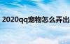 2020qq宠物怎么弄出来（qq宠物怎么打开）