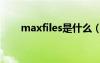 maxfiles是什么（max是什么格式）