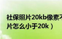 社保照片20kb像素不就不清楚了吗（社保照片怎么小于20k）