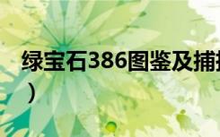 绿宝石386图鉴及捕捉地点（绿宝石386图鉴）