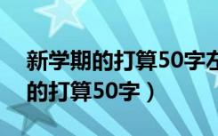 新学期的打算50字左右四年级下册（新学期的打算50字）