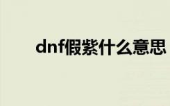 dnf假紫什么意思（dnf假紫是什么）