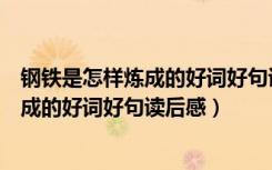 钢铁是怎样炼成的好词好句读后感主要内容（钢铁是怎样炼成的好词好句读后感）