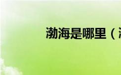 渤海是哪里（渤海在哪个省）