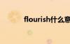 flourish什么意思（flourish）