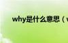 why是什么意思（which是什么意思）