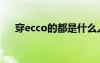 穿ecco的都是什么人（ecco男鞋价格）