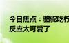 今日焦点：骆驼吃柠檬被酸出表情包 网友：反应太可爱了