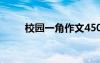 校园一角作文450字 校园一角作文