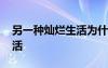 另一种灿烂生活为什么下架了 另一种灿烂生活