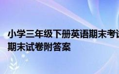 小学三年级下册英语期末考试试卷答案 小学三年级下册英语期末试卷附答案