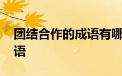 团结合作的成语有哪些四个字 团结合作的成语