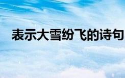 表示大雪纷飞的诗句 带有大雪纷飞的句子