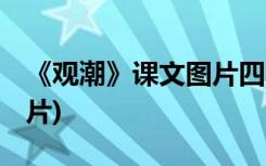 《观潮》课文图片四年级 《观潮》图片集(图片)