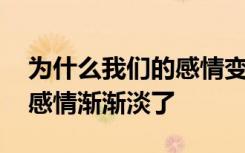 为什么我们的感情变成了这样 为什么我们的感情渐渐淡了