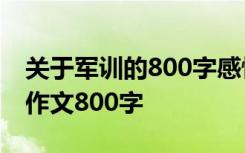 关于军训的800字感悟作文 军训心得-军训的作文800字