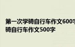 第一次学骑自行车作文600字作文 第一次骑自行车作文－学骑自行车作文500字