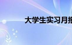 大学生实习月报模板 实习月报