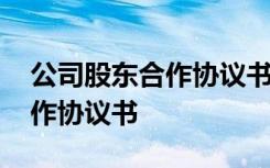 公司股东合作协议书模板电子版 公司股东合作协议书