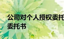 公司对个人授权委托书模板 公司对个人授权委托书