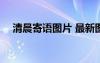 清晨寄语图片 最新图片 清晨寄语带图片