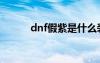 dnf假紫是什么装备（dnf假紫）