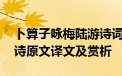 卜算子咏梅陆游诗词鉴赏 卜算子咏梅陆游的诗原文译文及赏析